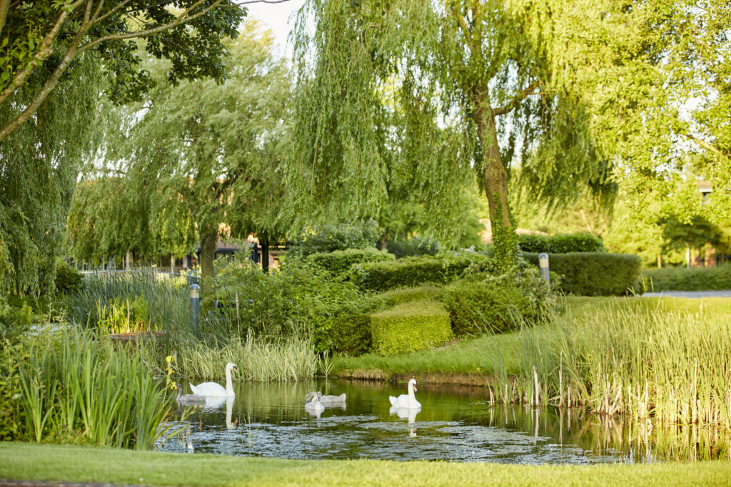 caldecotte-lake-residential-apartments-milton-keynes-shopping-centre-lakeside-living