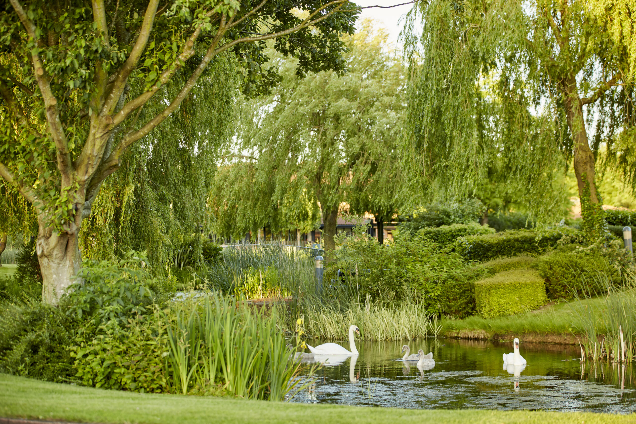 Caldecotte Business Park 240616 1309 scaled